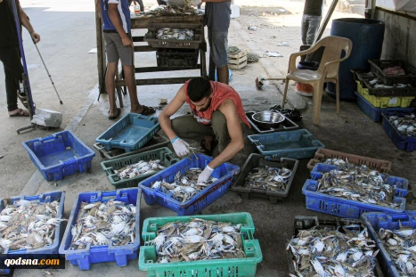 Crab fishing in Gaza waters